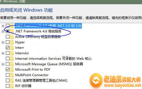 查看 “net framework 4.6高级服务 ”是否勾选